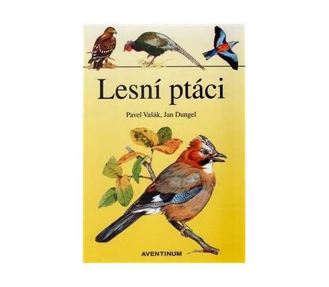 Lesní ptáci