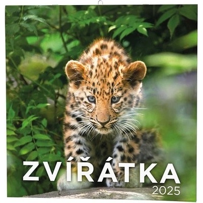Zvířátka nástěnný 2025