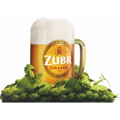 Zubr Gold 11 4,8% 50 l (sud)