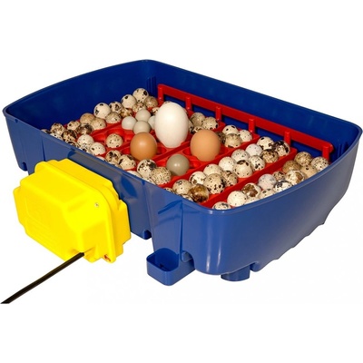 Borotto Real 24 Expert Líheň – Zboží Mobilmania