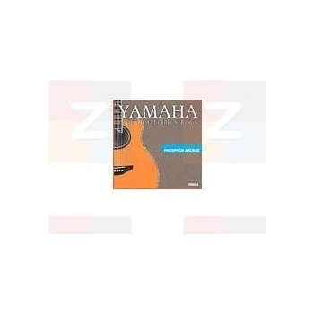 Yamaha FP 13