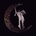 Believer - Smerz LP