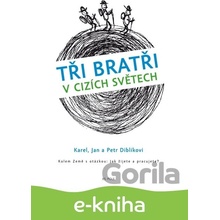 Tři bratři v cizích světech - Karel, Jan a Petr Diblíkovi