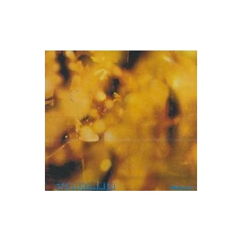 Reflection - Steamhammer CD