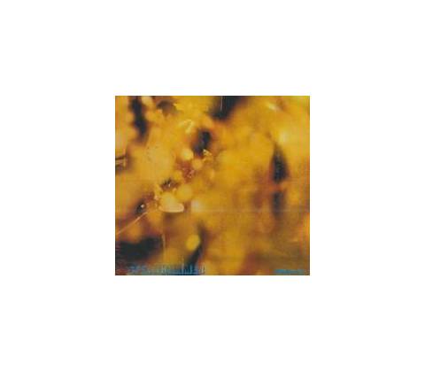 Reflection - Steamhammer CD