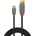 Lindy Кабел Lindy Anthra Line, от USB Type-A 2.0 (м) към USB Type-C 2.0 (м), 3.0 м, черен (LNY-36888)