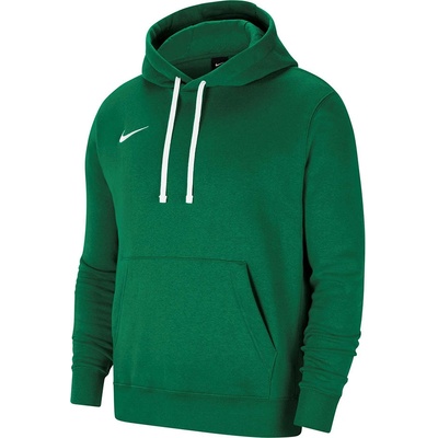 Nike Team CLUB 20 hoodie green sweatshirt CW6894 302