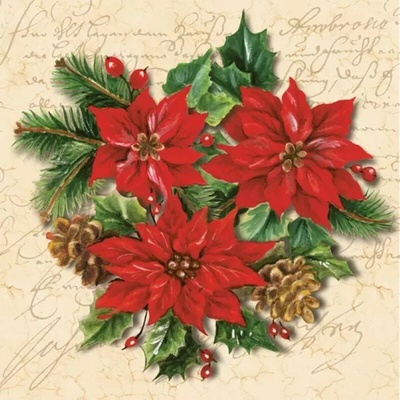 MAKI SLGW 018801 Poinsettia Composition servítky 3V vianočné 20ks 33x33cm