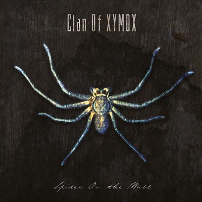 Clan Of Xymox - Spider On The Wall (Limited Edition) (Splatter Coloured) (LP) (4260063947704)