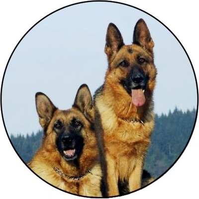 VIZINGR Ovčáci MAXI logo L2č.140