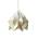 Studio Snowpuppe Лампа Moth градиент златна (8078-gold)