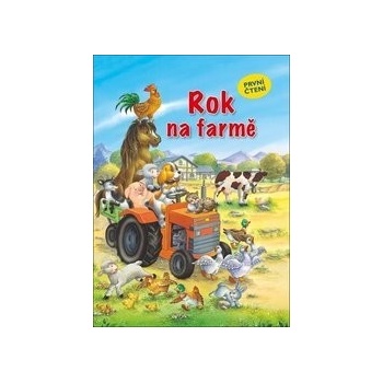 Rok na statku