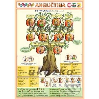 Obrázková angličtina 6 - rodina