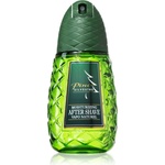 Pino Silvestre Pino Silvestre Original афтършейв с пулверизатор за мъже 125ml