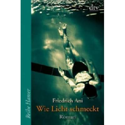 Wie Licht schmeckt | Friedrich Ani
