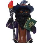 Nemesis Now Статуетка Nemesis Now Adult: Gothic - Magnus (U7006A25)