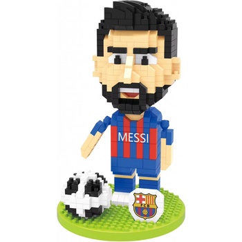 Wise Hawk Lionel Messi