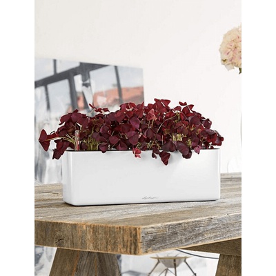 Lechuza Kvetináč Cube Glossy Triple All inclisive set white 40x14x14 cm