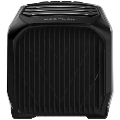 Ecoflow ZYDKT210-EU Wave 2 (1ECOAIRW2BOX)