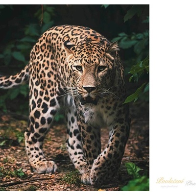 Jerry Fabrics Mikroflanelová dětská deka Leopard green