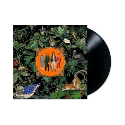 DON BROCO - AMAZING THINGS LTD. LP