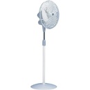 Vortice Gordon C40/16