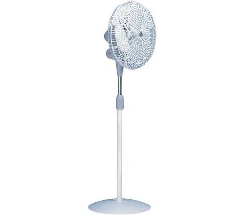 Vortice Gordon C40/16