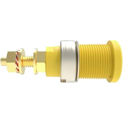 Schützinger DI SEB 6446 Au / GNGE bezpečnostní vestavná zásuvka 4 mm zelenožlutá 1 ks