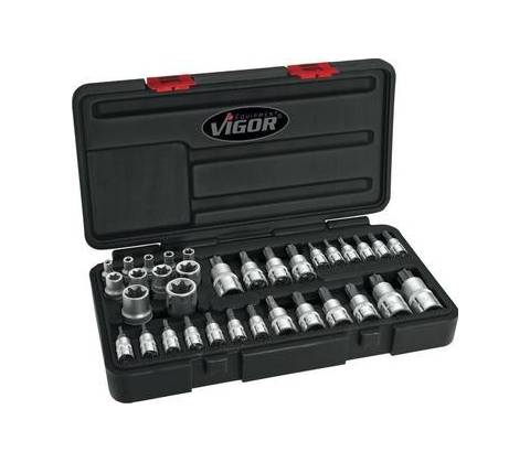 VIGOR V1781