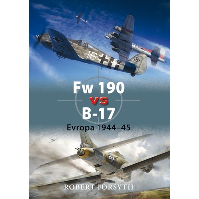 Fw 190 vs B-17 - Robert Forsyth