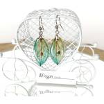 Meganflo Нежна тюркоазена алстромерия