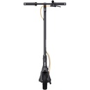 Ninebot by Segway KickScooter F2 Plus E