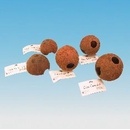 JBL Cocos Cava 1/2 M