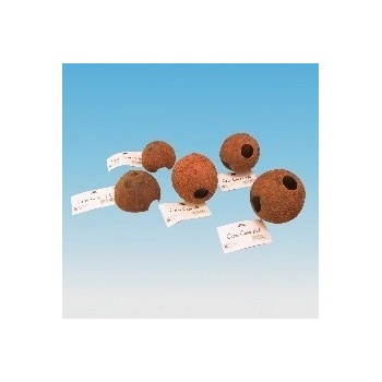 JBL Cocos Cava 1/2 M