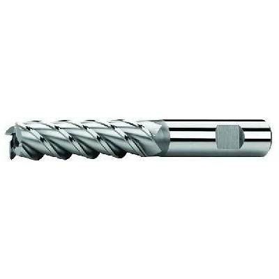 ZPS-FN Fréza válcová čelní ZPS, Z4, DIN 844L, HSSCo8, s upnutím weldon, N Rozměr: 40x125x205 mm