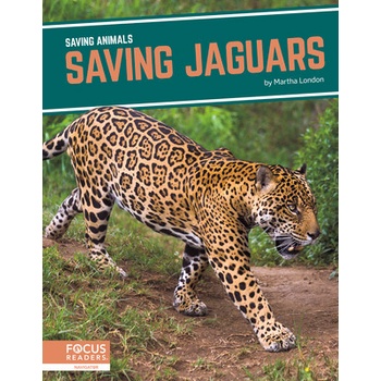 Saving Animals: Saving Jaguars