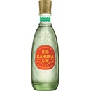 Big Kahuna Gin Pineapple 40% 0,7 L (čistá fľaša)