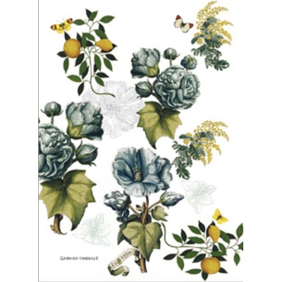 Garnier Thiebaut GIARDINO BLEU 56 x 77 cm modrá