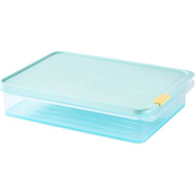 LOCKNLOCK Dóza na potraviny LOCK Freezer Fit 2200 ml