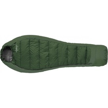 Campout Maple