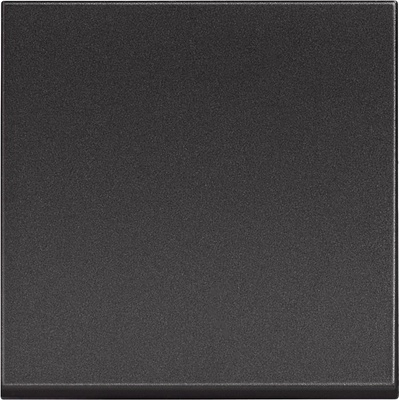 BTicino RG4001M2P Еднополюсен ключ 1P 10 AX - 250V 2M, Черен Classia - RG40001M2P (RG40001M2P)