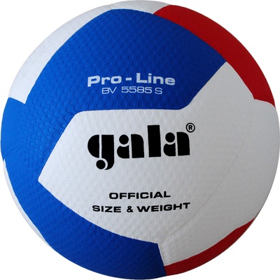 Gala Волейболна топка GALA Pro Line REPLICA - BV 5585 S