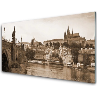 Obraz na skle Praha Most Krajina 100x50 cm