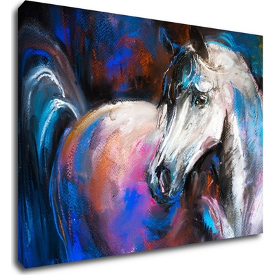 Impresi Obraz Barevný kůň - 70 x 50 cm