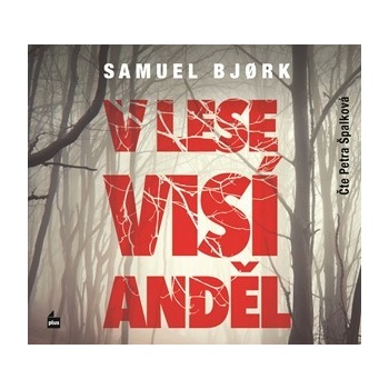 V lese visí anděl
