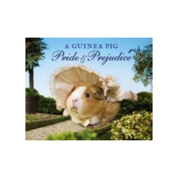Image 1 of Guinea Pig Pride & Prejudice