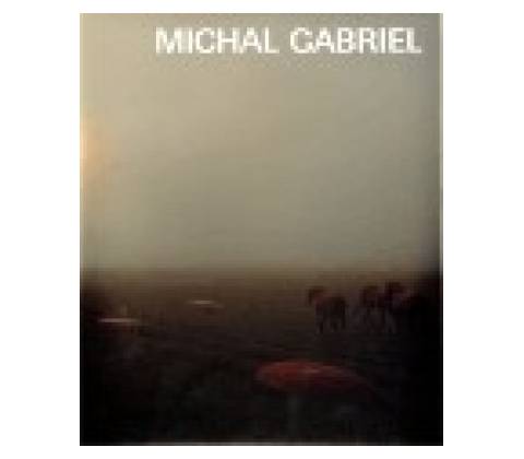 Michal Gabriel