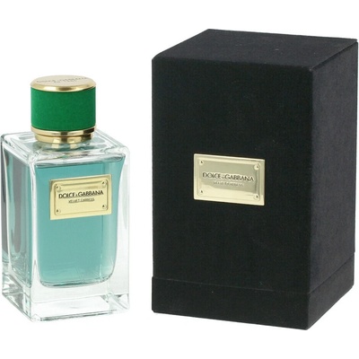 Dolce & Gabbana Velvet Cypress parfémovaná voda unisex 150 ml
