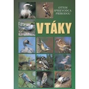 Vtáky