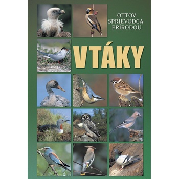 Vtáky